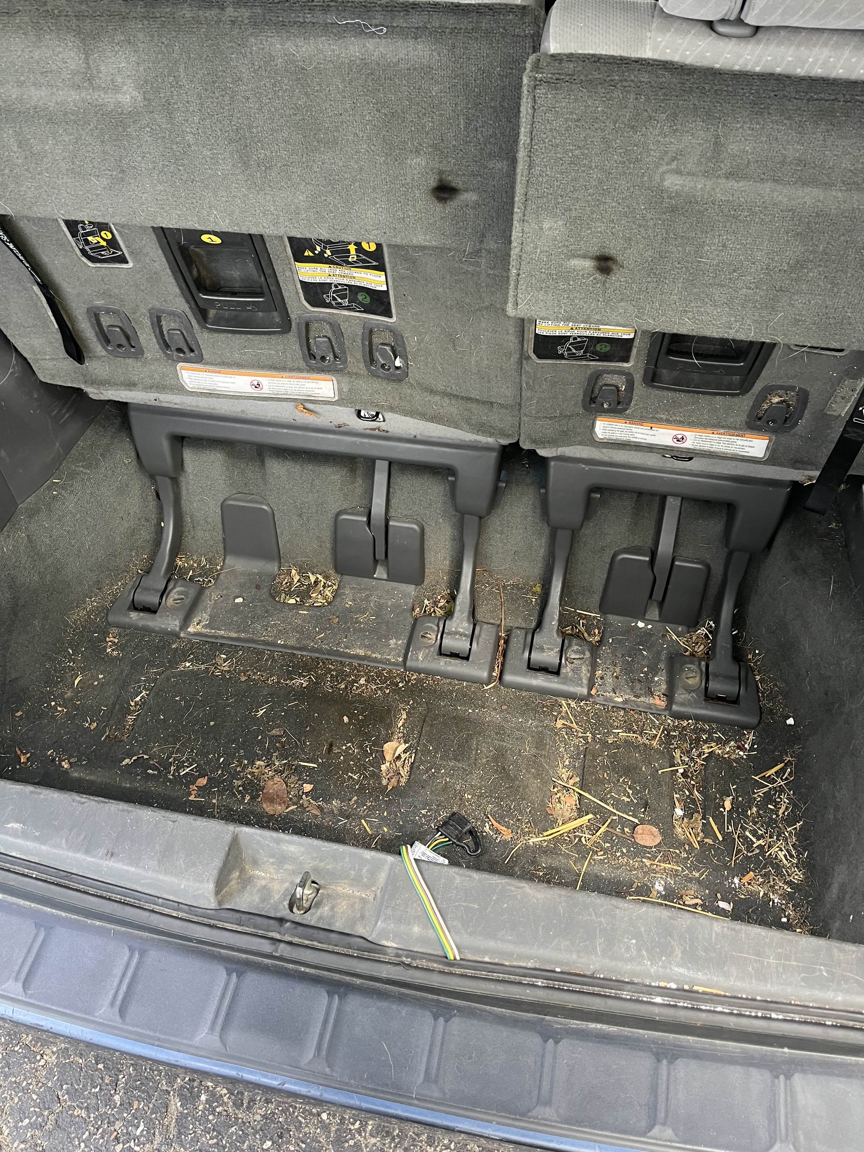 An interior of a car trunk, the floor is covered in dirt and grass.